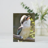 Laughing Kookaburra op branche Briefkaart (Staand voorkant)