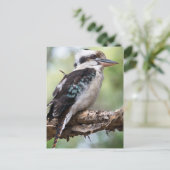 Laughing kookaburra op Fraser Island Australia Briefkaart (Staand voorkant)