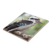 Laughing kookaburra op Fraser Island Australia Tegeltje (Zijkant)