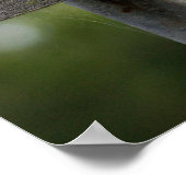 Laughing Kookaburra Poster (Hoek)