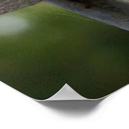 Laughing Kookaburra Poster (Hoek)