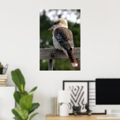Laughing Kookaburra Poster (Thuiskantoor)
