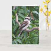 Laughing Kookaburra Wenskaart Kaart (Gele Bloem)