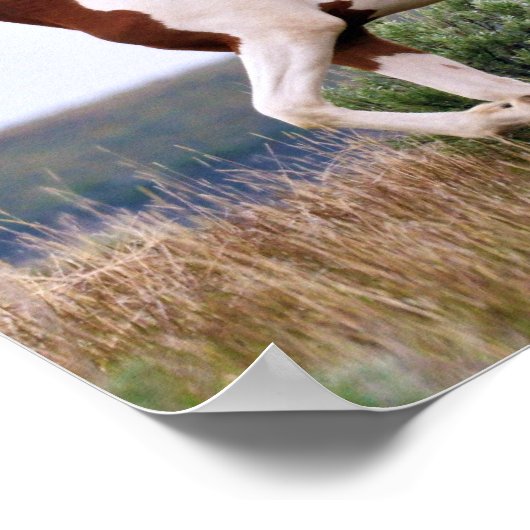 Laughing Maiden Poster (Hoek)