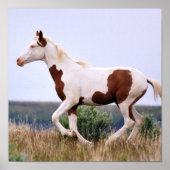 Laughing Maiden Poster (Voorkant)