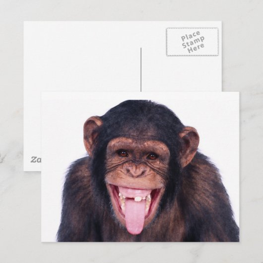 Laughing Monkey Briefkaart (Voorkant / Achterkant)