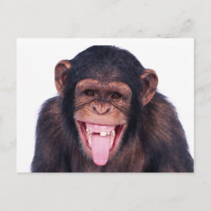 Laughing Monkey Briefkaart