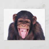 Laughing Monkey Briefkaart (Voorkant)