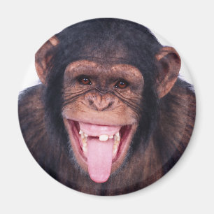 Laughing Monkey Magneet