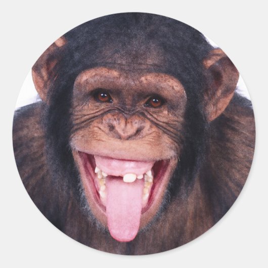 Laughing Monkey Ronde Sticker (Voorkant)