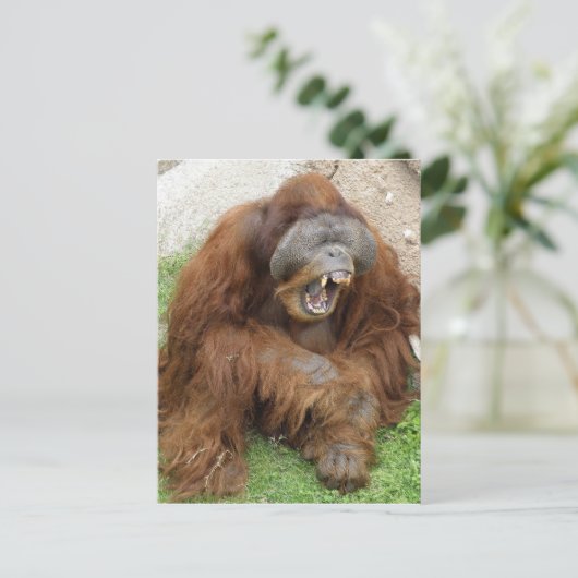 Laughing Orangutan Briefkaart (Staand voorkant)