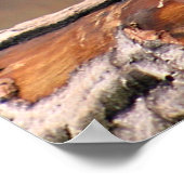 Laughing Orangutan Poster (Hoek)