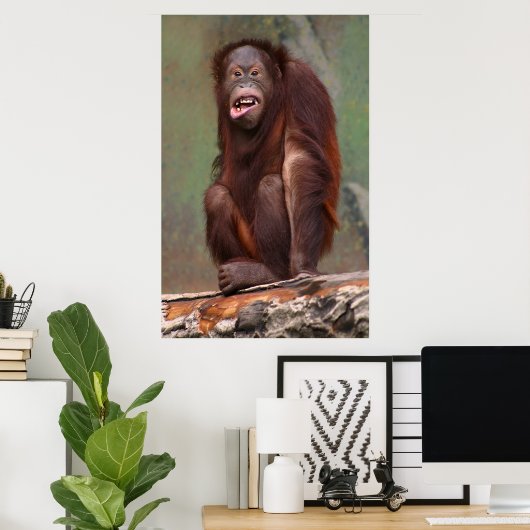 Laughing Orangutan Poster (Thuiskantoor)