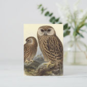 Laughing Owl  Illustratie Briefkaart (Staand voorkant)