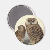 Laughing Owl  Illustratie Magneet (Voorkant / Achterkant)