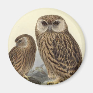 Laughing Owl  Illustratie Magneet