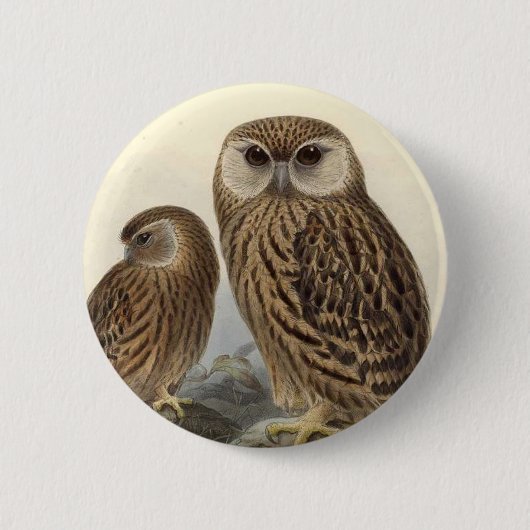 Laughing Owl  Illustratie Ronde Button 5,7 Cm (Voorkant)