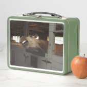 Laughing paard (In situ)