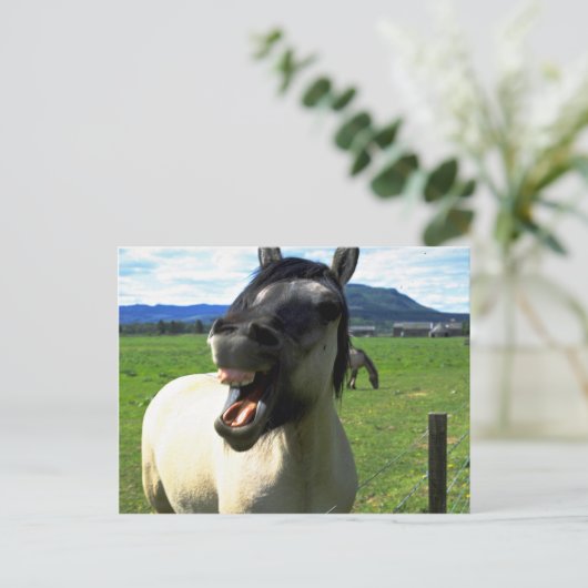 Laughing paard briefkaart (Staand voorkant)