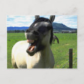 Laughing paard briefkaart (Voorkant)