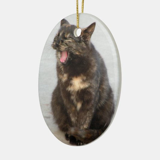 Laughing Tortoiseshel kattenversiering Keramisch Ornament (Links)