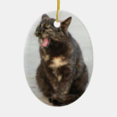 Laughing Tortoiseshel kattenversiering Keramisch Ornament (Voorkant)