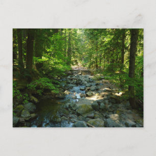 Laughingwater Creek in Mount Rainier National Park Briefkaart