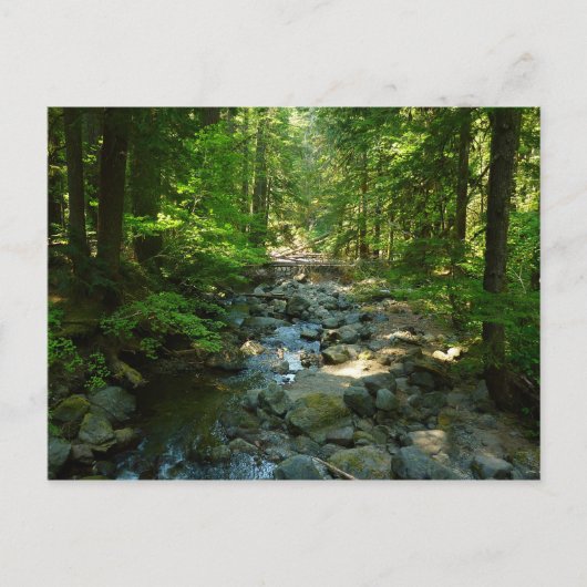 Laughingwater Creek in Mount Rainier National Park Briefkaart (Voorkant)