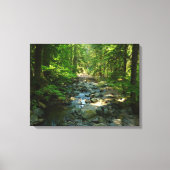 Laughingwater Creek in Mount Rainier National Park Canvas Afdruk (Voorkant)