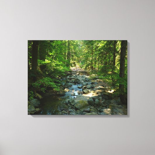 Laughingwater Creek in Mount Rainier National Park Canvas Afdruk (Voorkant)