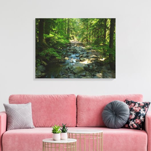 Laughingwater Creek in Mount Rainier National Park Canvas Afdruk (Insitu (Woonkamer))