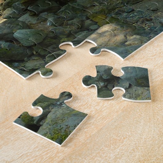 Laughingwater Creek in Mount Rainier National Park Legpuzzel (Zijkant)