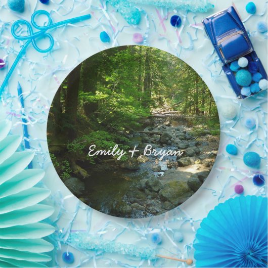 Laughingwater Creek in Mount Rainier National Park Papieren Bordje (Feest)