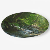 Laughingwater Creek in Mount Rainier National Park Papieren Bordje (Gekanteld)