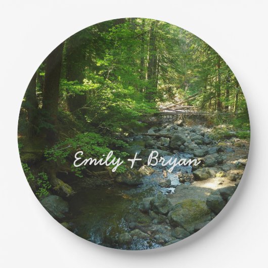 Laughingwater Creek in Mount Rainier National Park Papieren Bordje (Voorkant)