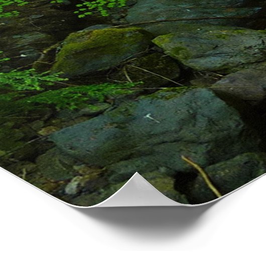 Laughingwater Creek in Mount Rainier National Park Poster (Hoek)