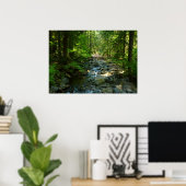 Laughingwater Creek in Mount Rainier National Park Poster (Thuiskantoor)
