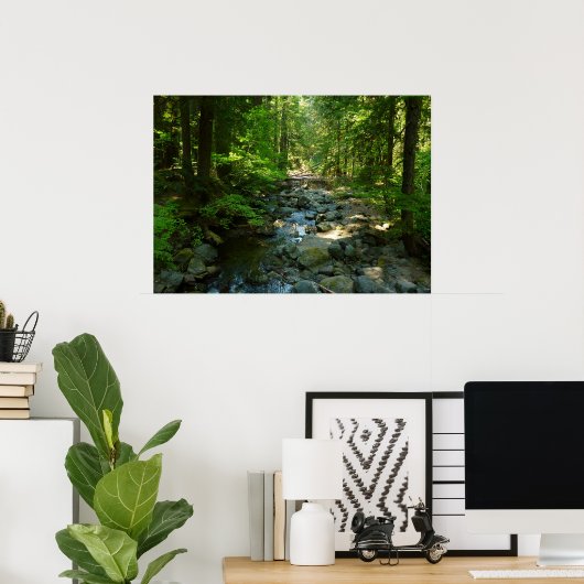 Laughingwater Creek in Mount Rainier National Park Poster (Thuiskantoor)