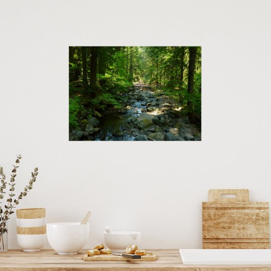Laughingwater Creek in Mount Rainier National Park Poster (Keuken)