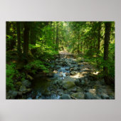 Laughingwater Creek in Mount Rainier National Park Poster (Voorkant)