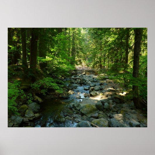 Laughingwater Creek in Mount Rainier National Park Poster (Voorkant)