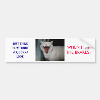 LaughMyFucckinAzzOff Bumpersticker