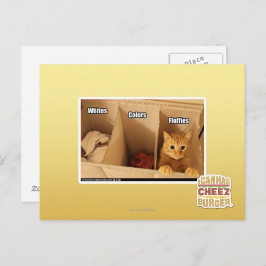 Laundry Cat Briefkaart (Voorkant / Achterkant)