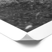 Laundry Dog Team Alaska 1904 Poster (Hoek)