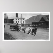 Laundry Dog Team Alaska 1904 Poster (Voorkant)