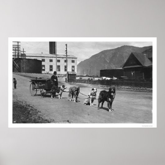 Laundry Dog Team Alaska 1904 Poster (Voorkant)