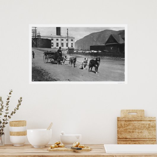 Laundry Dog Team Alaska 1904 Poster (Keuken)