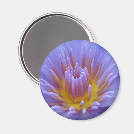 Laura Frase Magneet (Voorkant / Achterkant)