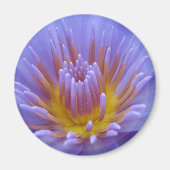 Laura Frase Magneet (Voorkant)