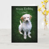 Laura Happy Birthday Golden Doodle Puppy Kaart (Gele Bloem)